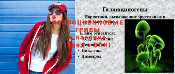 МДПВ Арсеньев